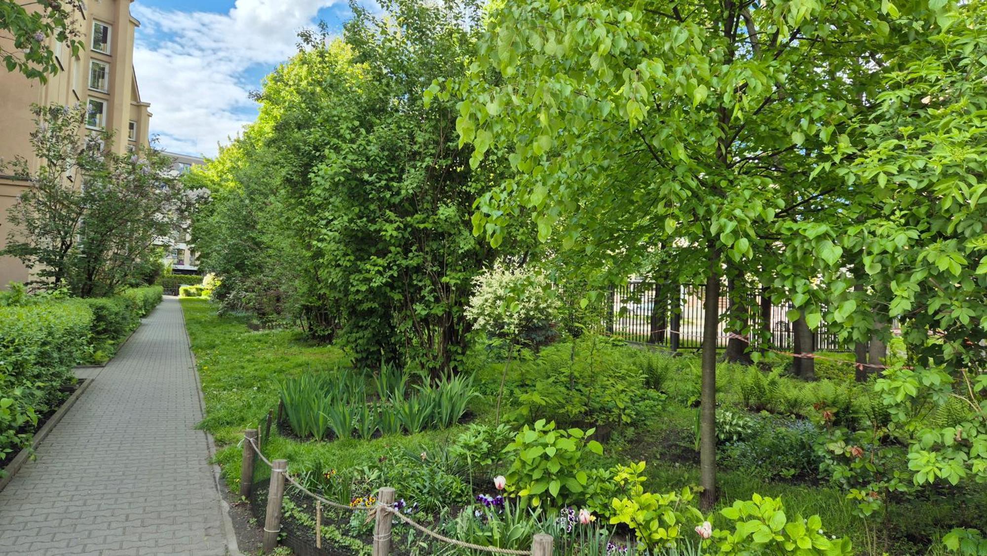 Apartament Daszynskiego Краків Екстер'єр фото